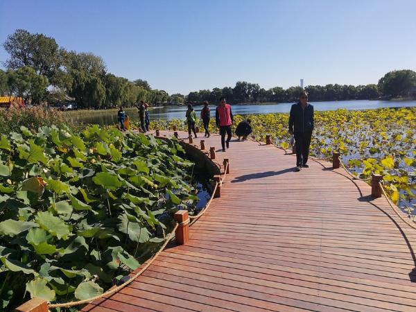 旅游 | 北京西城：京韵美景 浓缩悠悠古今运河情