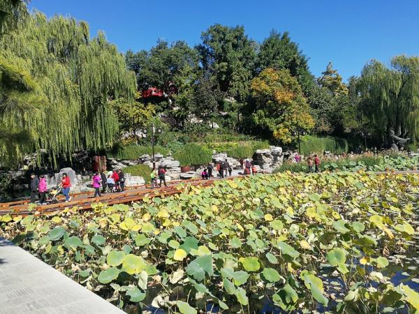 旅游 | 北京西城：京韵美景 浓缩悠悠古今运河情