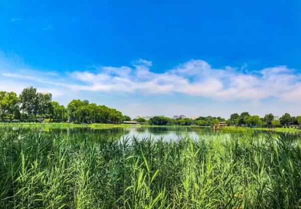 旅游 | 北京西城：京韵美景 浓缩悠悠古今运河情