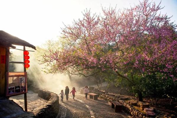 旅游 | 倒计时！张吉怀高铁即将开通运营，沿线美景藏不住了！