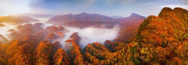 旅游 | 相约光雾山，赏金秋最美红叶