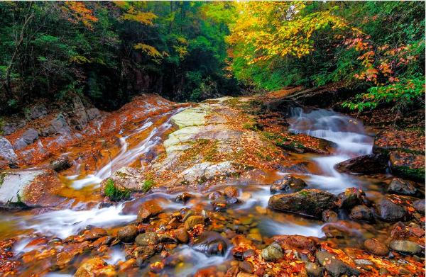 旅游 | 相约光雾山，赏金秋最美红叶