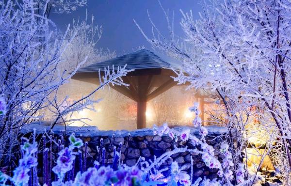 旅游 | 冰雪龙江 今冬可期——黑龙江推出系列冰雪旅游产品