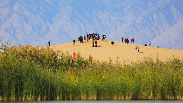 公共｜沙湖——宁夏唯一入选“全国文化和旅游系统的先进集体”
