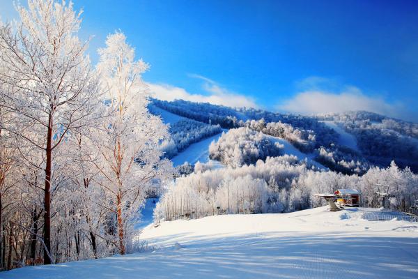 首批国家级滑雪旅游度假地 | 长白山国际度假区：建造在黄金粉雪带上的“港湾滑雪”天堂