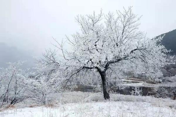 旅游 | 河南林州：太行雪景美如画似仙境