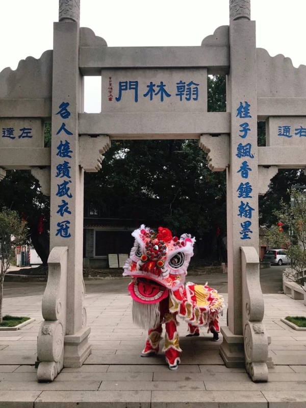 艺术 | 南海醒狮：“醒”的不仅是传统，更是文化自信