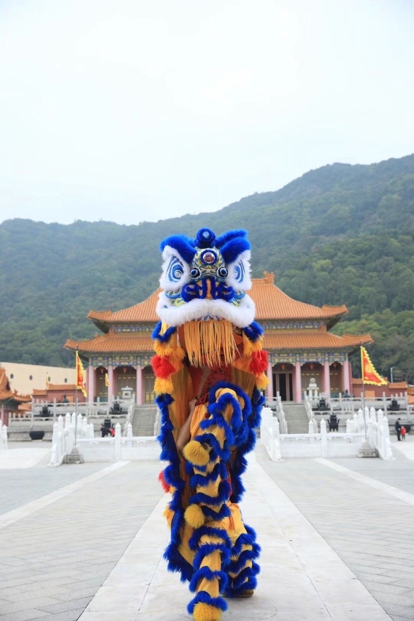 艺术 | 南海醒狮：“醒”的不仅是传统，更是文化自信