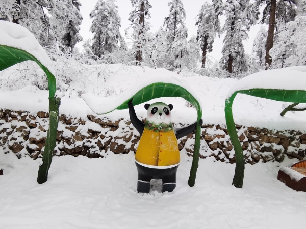 旅游｜来瓦屋仙山 赏一场春雪