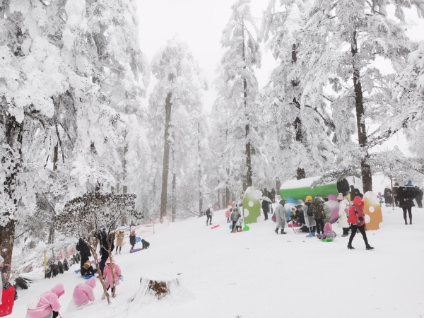 旅游｜来瓦屋仙山 赏一场春雪