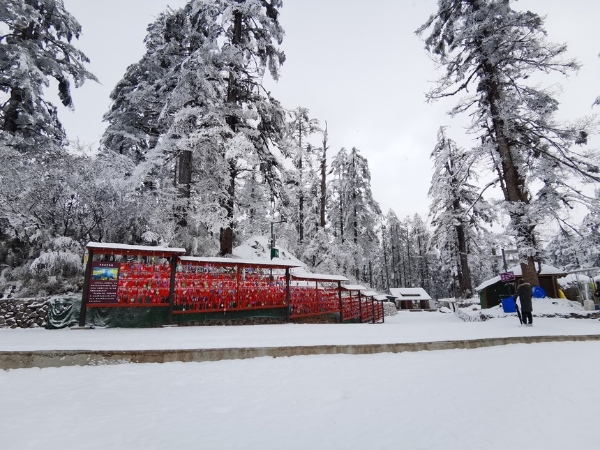 旅游｜来瓦屋仙山 赏一场春雪