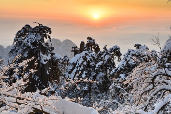 旅游 | 雪后初晴更妖娆 黄山游客增长六成