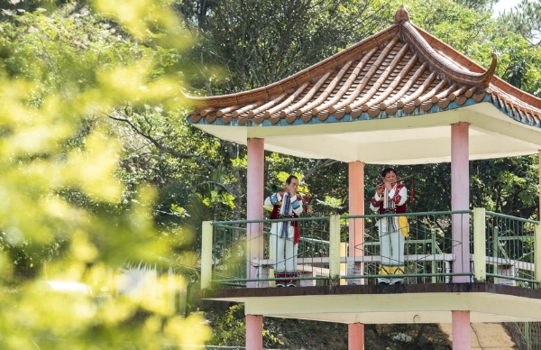 村晚｜广西博白县水鸣镇：西塘“村晚”走过13年，村风转变美名扬