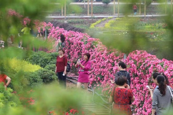 旅游 | 文化魅力聚人气 四川隆昌乡村旅游提档升级