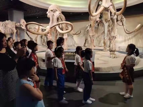 公共 | 黑龙江省大庆市博物馆：用科技提升服务