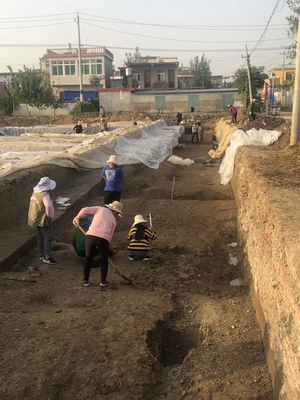 文物 | 安徽今年开展八个主动性考古发掘项目