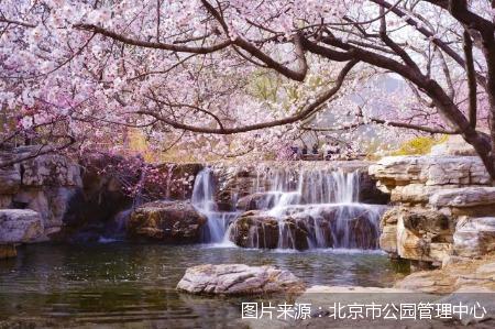 图片来源：北京市公园管理中心