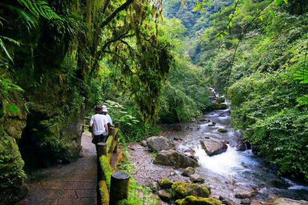 旅游 | 峡谷秘境里一个与众不同的春天！