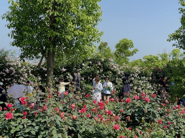 旅游 | 绵竹文旅“变形记”：矿区变景区、家园变花园、颜值变产值