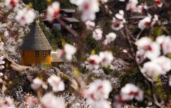 旅游｜北京密云发布10条微度假精品旅游线路，密云文旅局邀您共赏花季