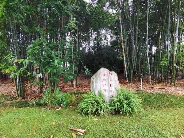 旅游 | 眉山竹旅好神奇