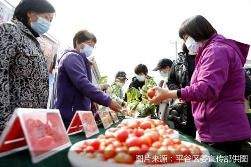 图片来源：平谷区委宣传部供图
