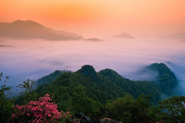 皖美好味道 | 寻觅大别山的春之味