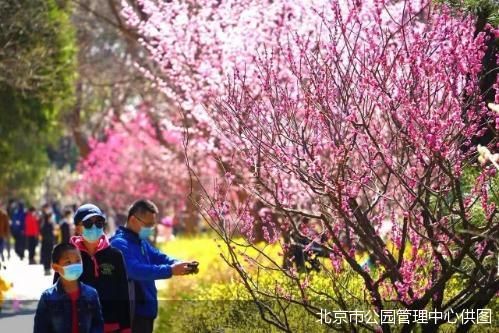 北京市公园管理中心供图