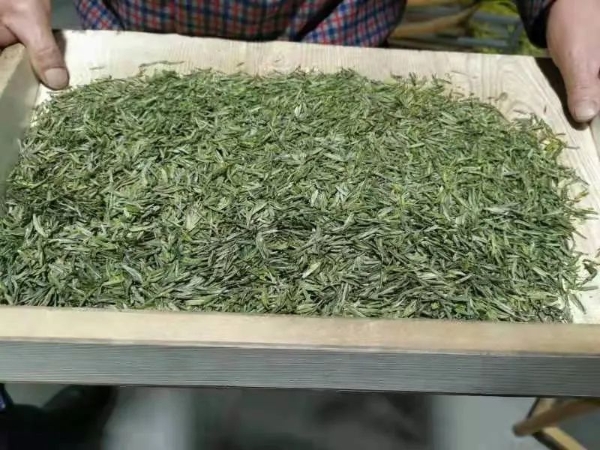 非遗 | 用山川做茶 奉旷世香茗