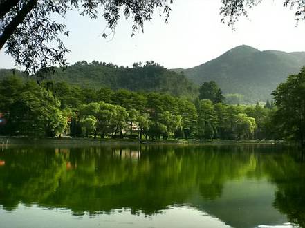 乡村四时好风光 | 皖中“飘香果岭 画卷平岗”探春之旅