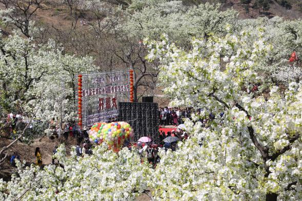 乡村四时好风光 | 蓟州梨园情踏青赏花亲子休闲之旅