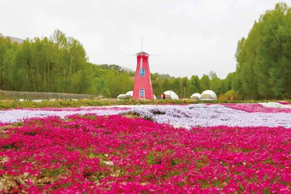 产业 | 乡村旅游唱出幸福歌 生态扶贫走出致富路