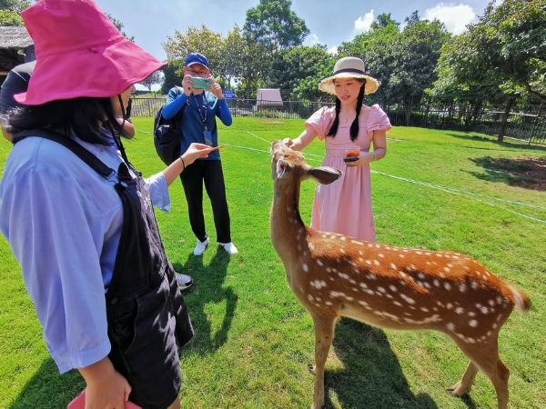 旅游 | 南宁两大景区喜气迎客来