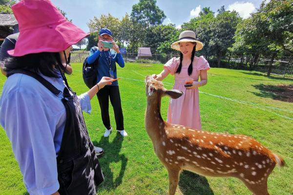 旅游 | 南宁两大景区喜气迎客来