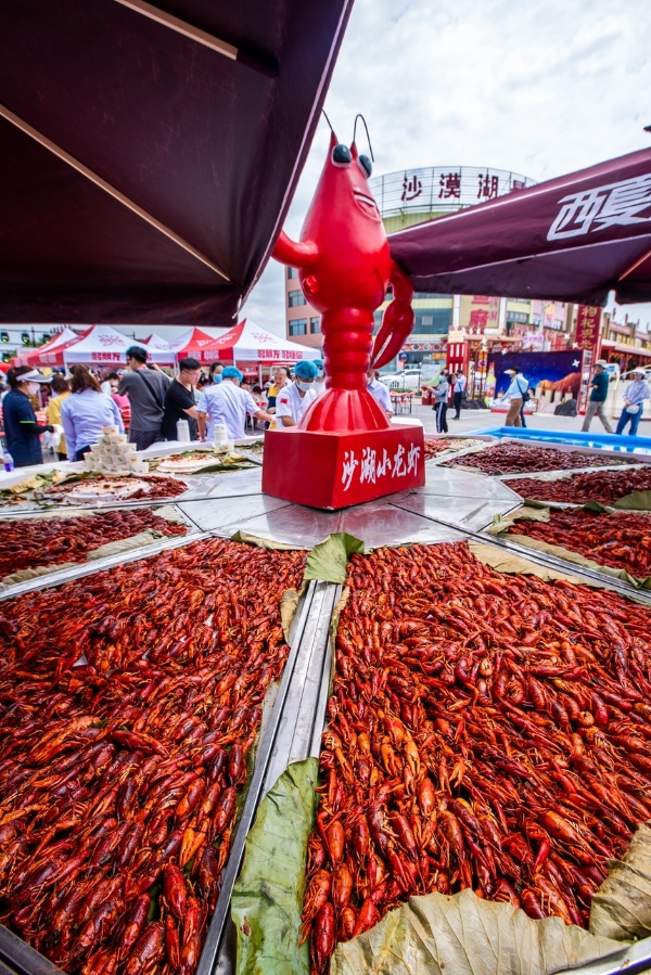 旅游 | 精彩绝伦的文体旅饕餮盛宴