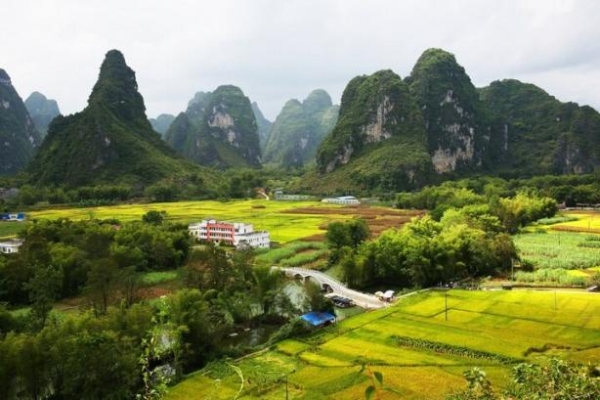 乡村四时好风光 | 崇左国家边海风景道探秘之旅