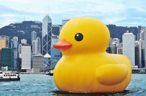 艺术｜“大黄鸭”天团抵达北京，15只巨型动物“欢聚”——中荷文化交流展将举办