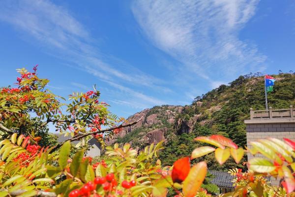 旅游 | 中秋黄山秋色宜人游客旺