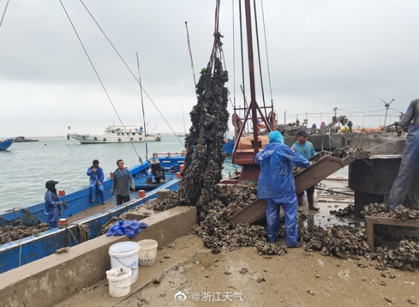 台风“梅花”逼近浙江 江浙沪等地将直面狂风暴雨