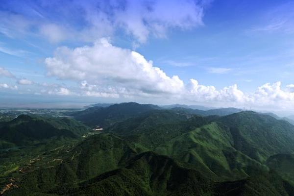 艺术 | “江门·发现森林之美”全国摄影大赛启动