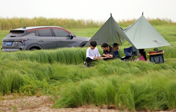 旅游 | 水乡“变身”大草原 江西鄱阳湖成网红旅游打卡地