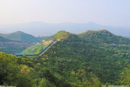 上海市全面完成2022年度森林样地调查成果质量检查工作