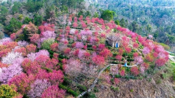 旅游 | 湖北新增10家4A景区