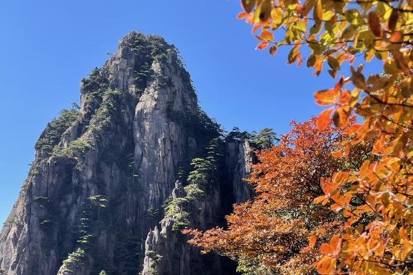 旅游 | 霜降黄山 五彩斑斓