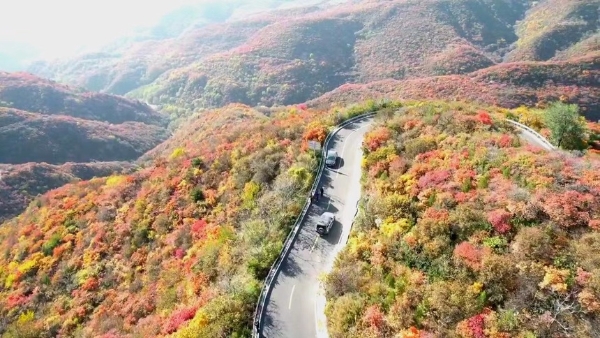 旅游 | 山西省太原市文化和旅游局发布赏秋线路，邀市民寻觅最美深秋