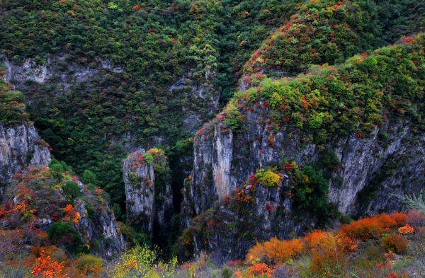 旅游 | 河南林州：红叶染太行 金秋美如画