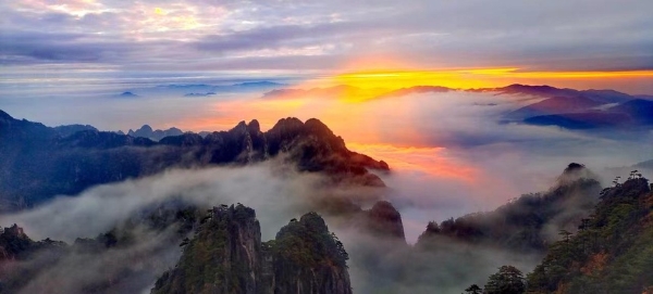 旅游 | 黄山：云海翻涌如仙境
