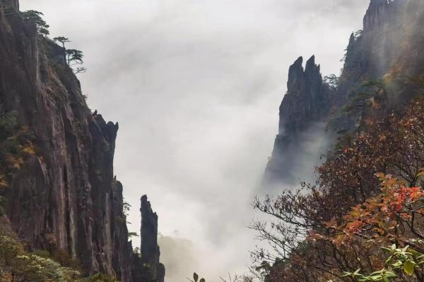 旅游 | 黄山：云海翻涌如仙境