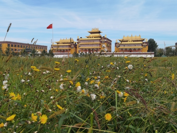 稻花香里说丰年 | “魅力杜尔伯特”金秋之旅