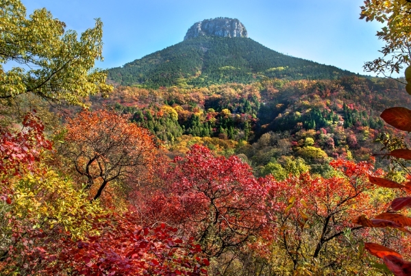 稻花香里说丰年 | 休闲山亭登山采摘之旅